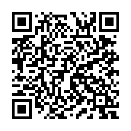 QR code for R11DFI
