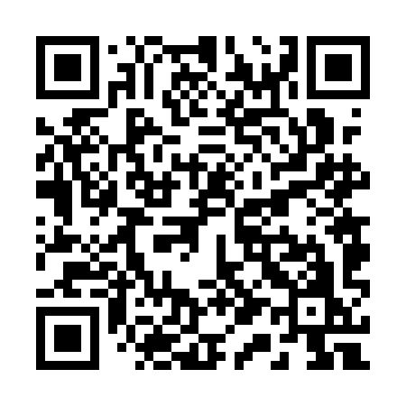 QR code for R161IO