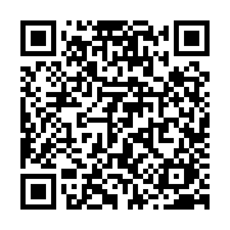 QR code for R161ZM