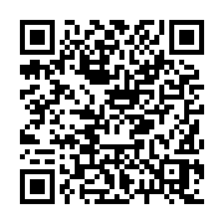 QR code for R208IR