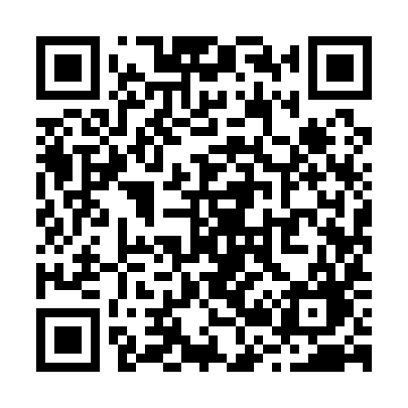 QR code for R2919G