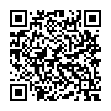 QR code for R2919Z