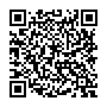 QR code for R2992I