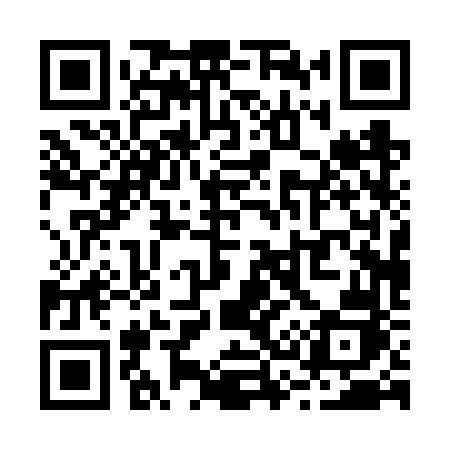 QR code for R306VJ