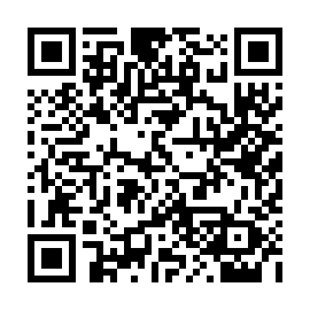 QR code for R307HZ
