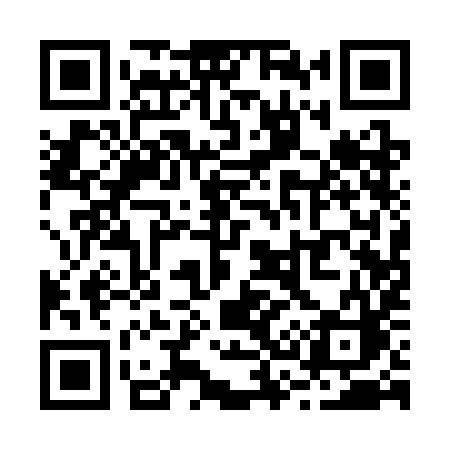 QR code for R313IC