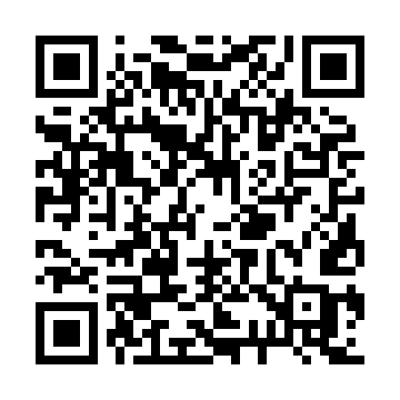 QR code for R338EC