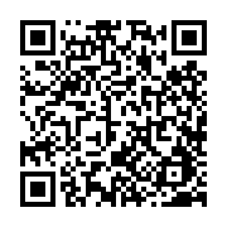 QR code for R384ZB