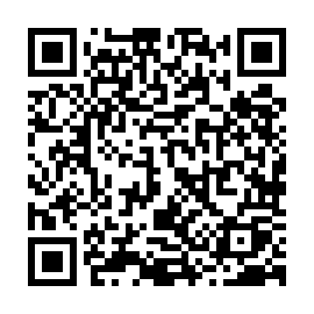 QR code for R385OQ