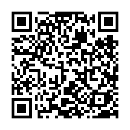 QR code for R386KI