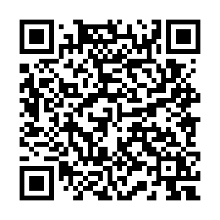 QR code for R387ZX