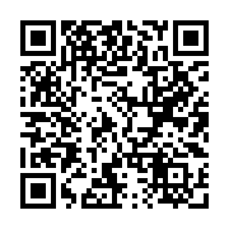 QR code for R389KS