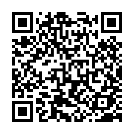 QR code for R46PMH