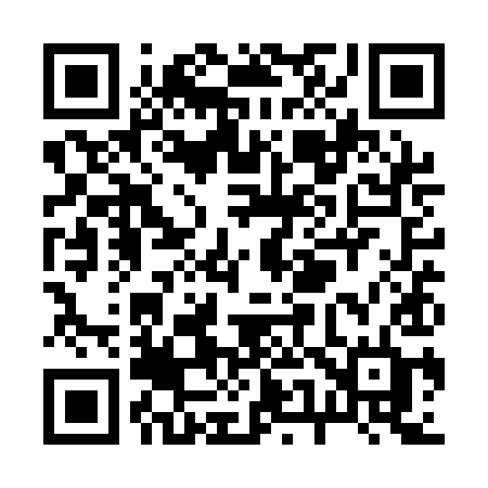 QR code for R51QID