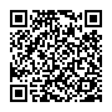 QR code for R66DOM