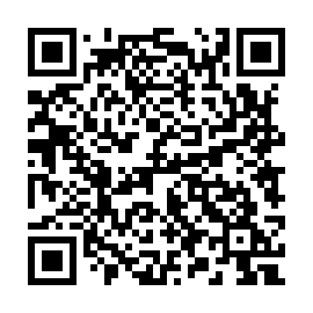 QR code for R9493G