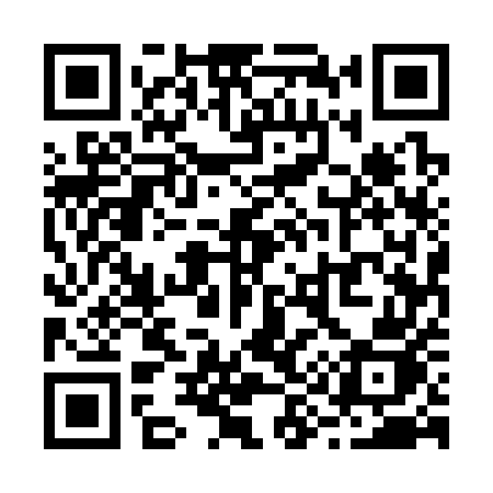 QR code for R9535J
