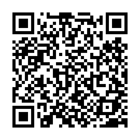 QR code for R96DMI