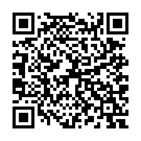 QR code for R96DMM