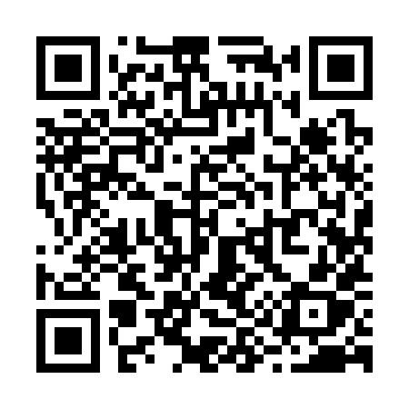 QR code for R9938X