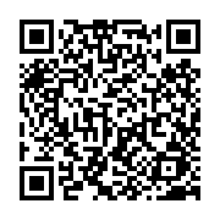 QR code for R994ZJ