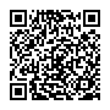 QR code for RG351O