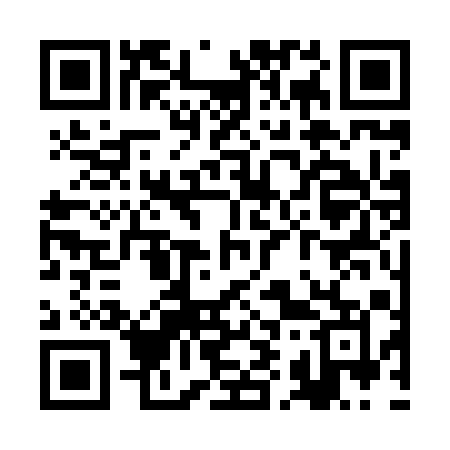 QR code for RI381M