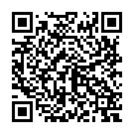 QR code for RIAI23