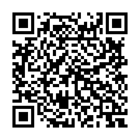 QR code for RIC85F