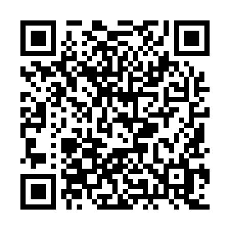 QR code for RM919L