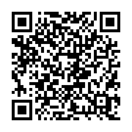 QR code for RS41NG