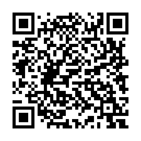 QR code for RS493M