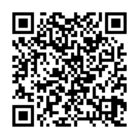 QR code for RSSP29