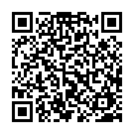 QR code for RT013G
