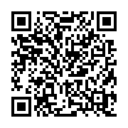 QR code for RZ376H