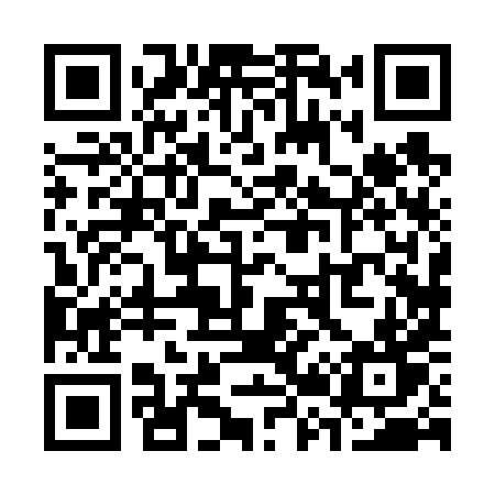 QR code for S2868T