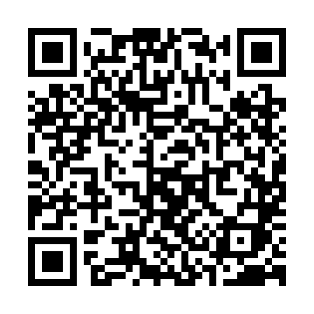 QR code for S313LI