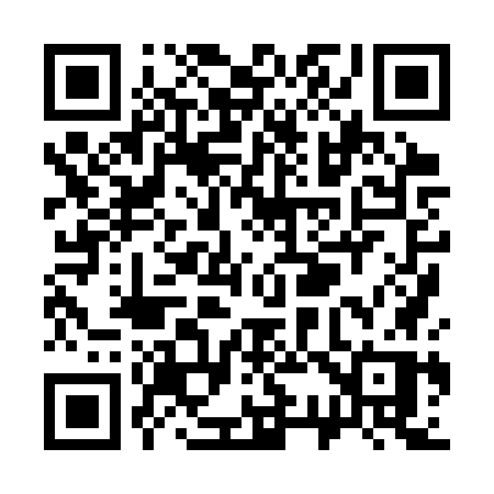 QR code for S383WP