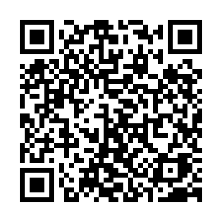 QR code for S391KA