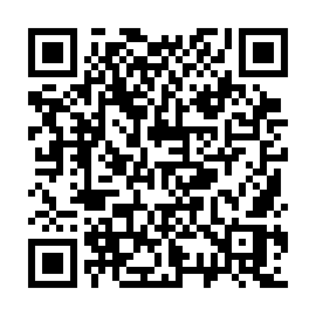 QR code for S393OR