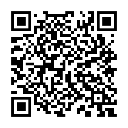 QR code for S393PH