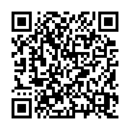 QR code for S393XT