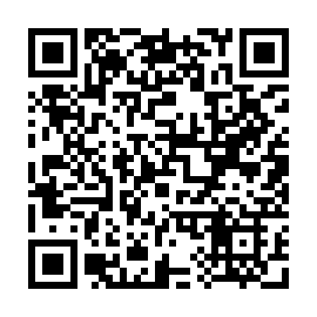 QR code for S919BK