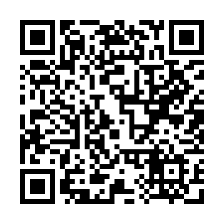 QR code for S919FL