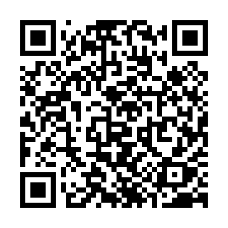 QR code for S9501X