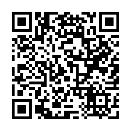 QR code for S953FF