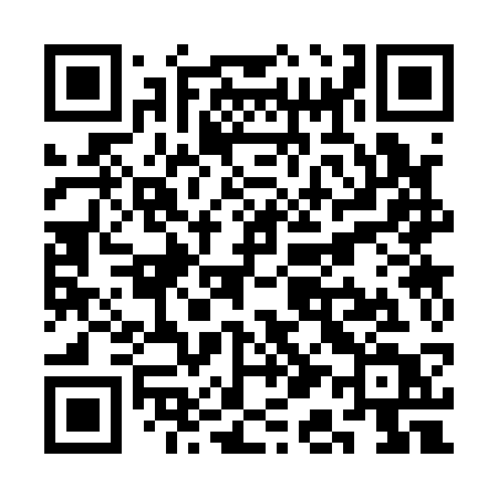 QR code for SA313T