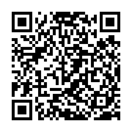 QR code for SDYV81