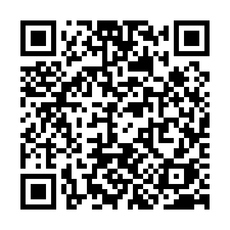 QR code for SI313H
