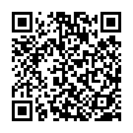 QR code for SI861I